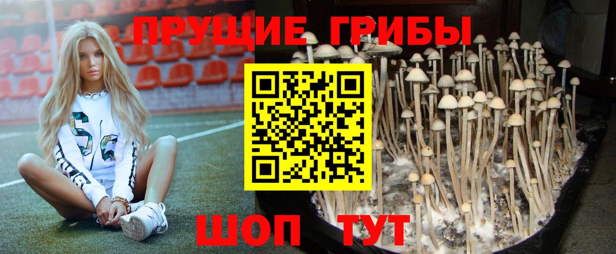Благовещенск  Галлюциногенные грибы ЛСД  цены наркотик  Вход с VPN 